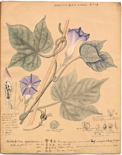  战术板上妙笔生花，暂停布置扭转乾坤