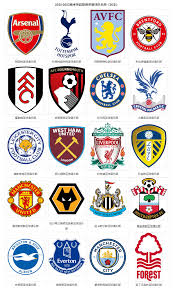  青少年选手异军突起，未来之星初露锋芒