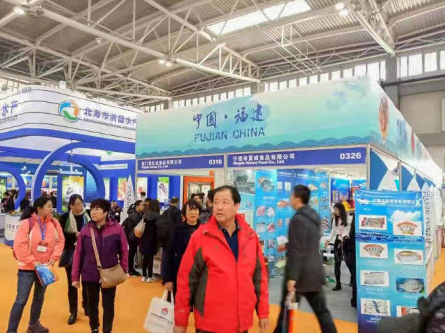  青岛国信水产内线告急惨败于浙江广厦